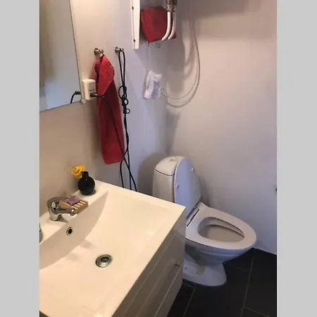 Dejlig Lille Hus 公寓 兰德斯